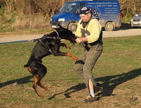 Training in Prague 3/2007